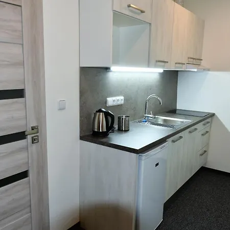 Apartment Penzion Mezihori *