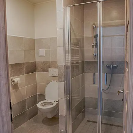 Penzion Mezihori Apartment *